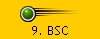 9. BSC